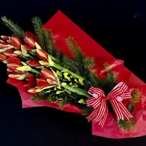Amaryllis Gift Box