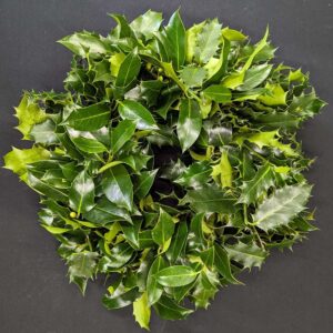 Plain traditional holly graveside Christmas wreath