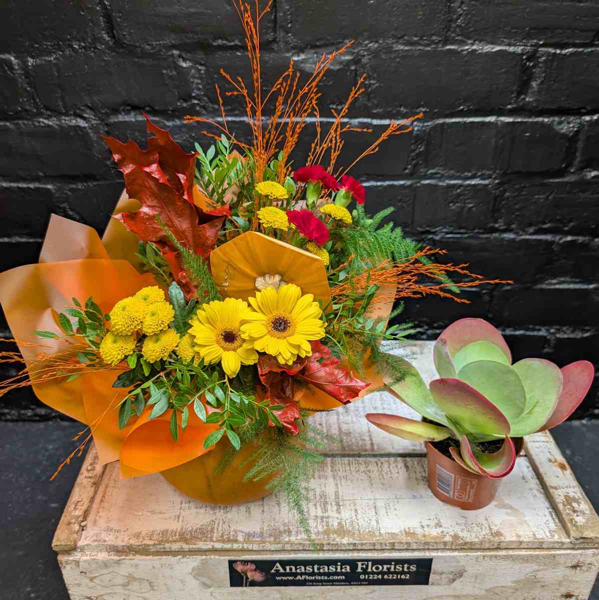 Pumpkin Delight - Image 2