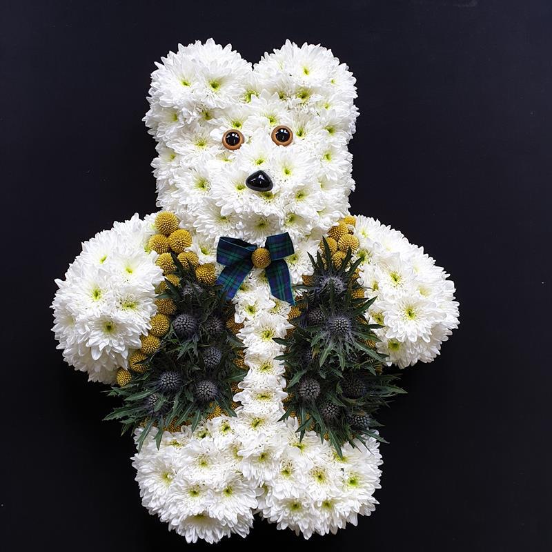 Scottish teddy bear funeral tribute made from white chrysanthemums with yellow billy balls, thistles and tartan bow tie from Anastasia Florists Aberdeen.